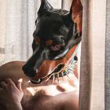 dirtydoberman