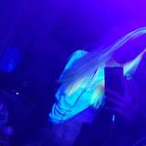 princessdarkness666free