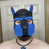 pup_chomper