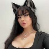 seidorei_kitten_free