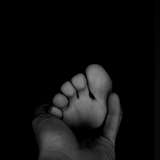 lonestar_footography