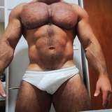 bear_bodybuilder