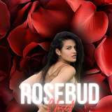 rosebud_closed
